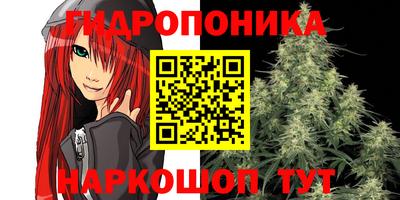 2c-b Кандалакша