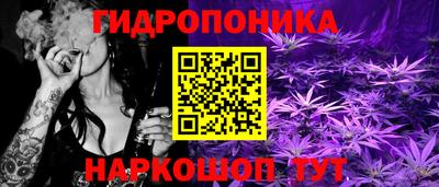 стафф Бузулук