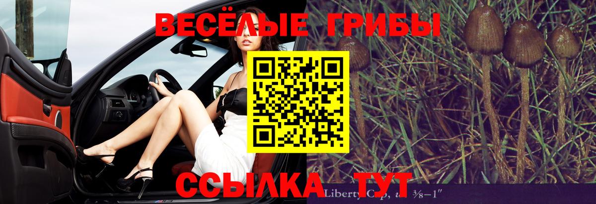Псилоцибиновые грибы мухоморы  Вход с VPN  Псилоцибиновые грибы прущие грибы  Краснознаменск 