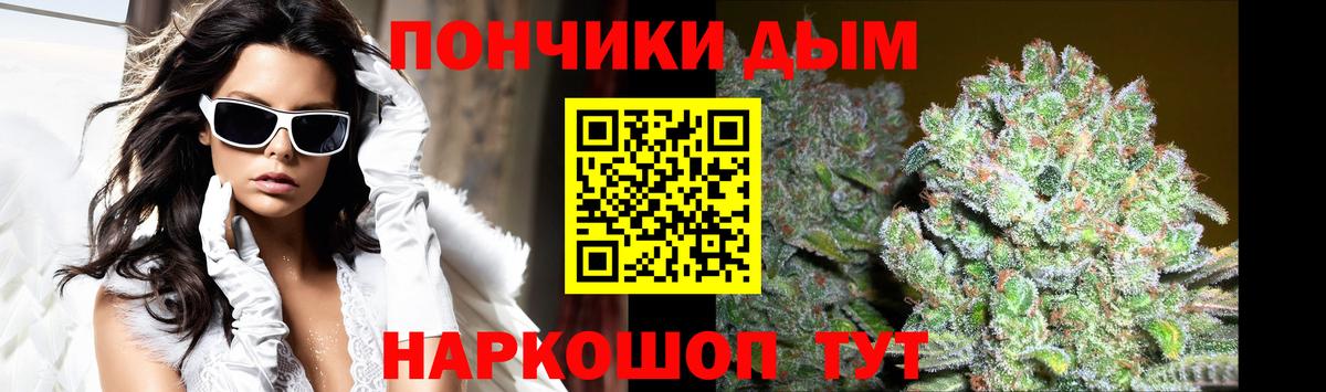 Шишки марихуана марихуана Краснознаменск