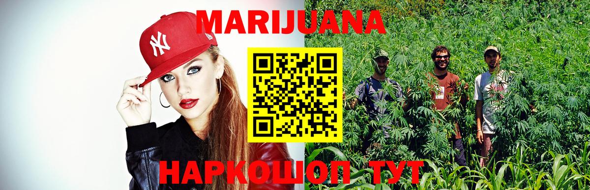 Марихуана планчик  МАРИХУАНА White Widow  Марихуана сатива  Краснознаменск  Вход с VPN 
